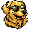 Golden Retriever dog