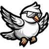Taube Vogel Tier