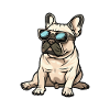 French Bulldog dog