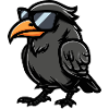 Rabe Krähe Tier