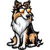 Border Collie dog