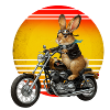 A rabbit on a Motocycle