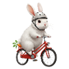 Lapin sur le vélo