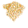 Lion Geometric