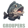 mérou mérou