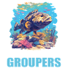 mérou mérou