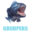 Mérou Mérou
