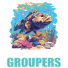 mérou mérou