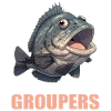mérou mérou