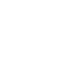 Zebras Tier Steppe