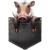 Warzenschwein