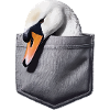 Schwan