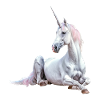 Einhorn