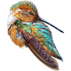 Kolibri