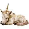 Einhorn