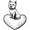 Westie on heart