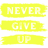 Ne jamais abandonner 2