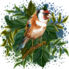 Bunter Vogel