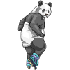 Panda Inline skating Rollschuhe