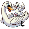 Swan mother and child frolicking