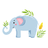 Baby Elephant