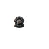 J'adore mon chien Terre-Neuve