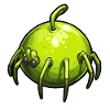 Apfelspinne Apfel Spinne