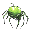 Apple Spider Apple Spider