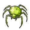 Apple Spider Apple Spider