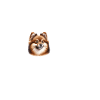 I love my Pomeranian