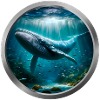 Humpback Whale - 2