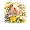 guinea pigs