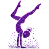 Gymnastics Gymnast Acrobatics Gymnast