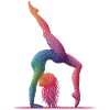 Gymnastics Gymnast Acrobatics Gymnast