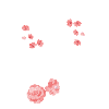 Blumen Bunt Hochzeit
