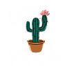 Cactus Cacti Desert Plant