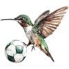 Kolibri