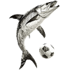 Tarpon