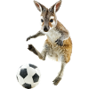Wallaby