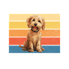 Cockapoo Gifts