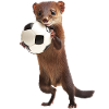 Wiesel