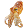 Tintenfisch