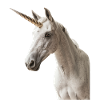 Einhorn