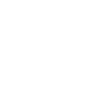 Year 2029