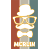 Merlin comme nom