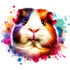Guinea pig