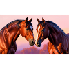 Cheval love 20241231 143135 0000