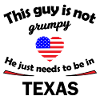 USA and Texas fans