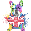 Rainbow Bulldog Union Jack