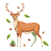 Deer and pine cone